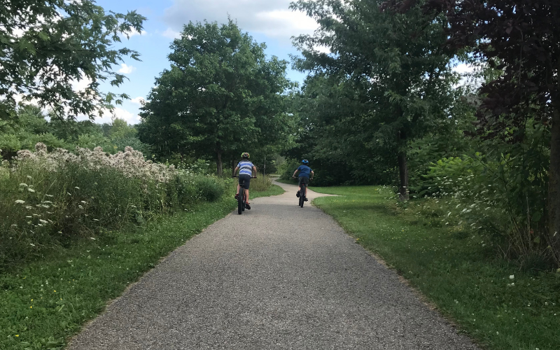 Two children riding bikes along a tree lined path. 