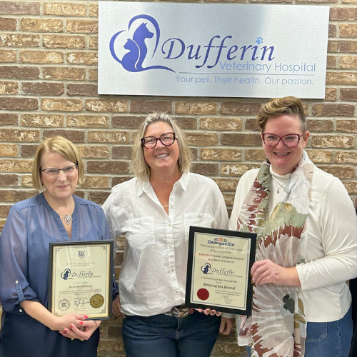 A group of people at a business anniversary celebration