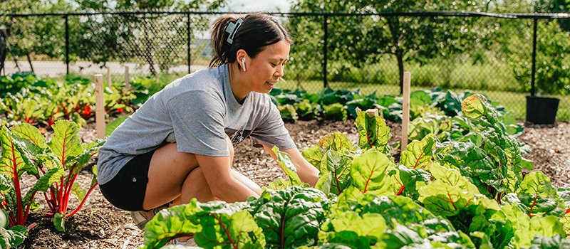 Community Recognition Awards web banner A person working in a garden