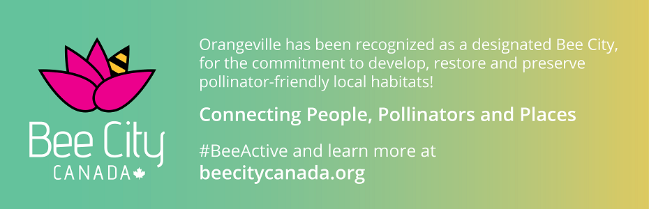 Orangeville Bee City Designation