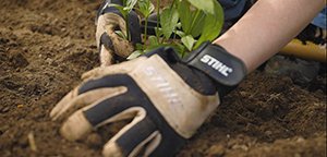 A pair of hands wearing gardening gloves clears dirt for a plant.