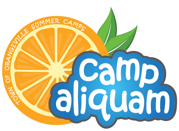 Camp Aliquam logo