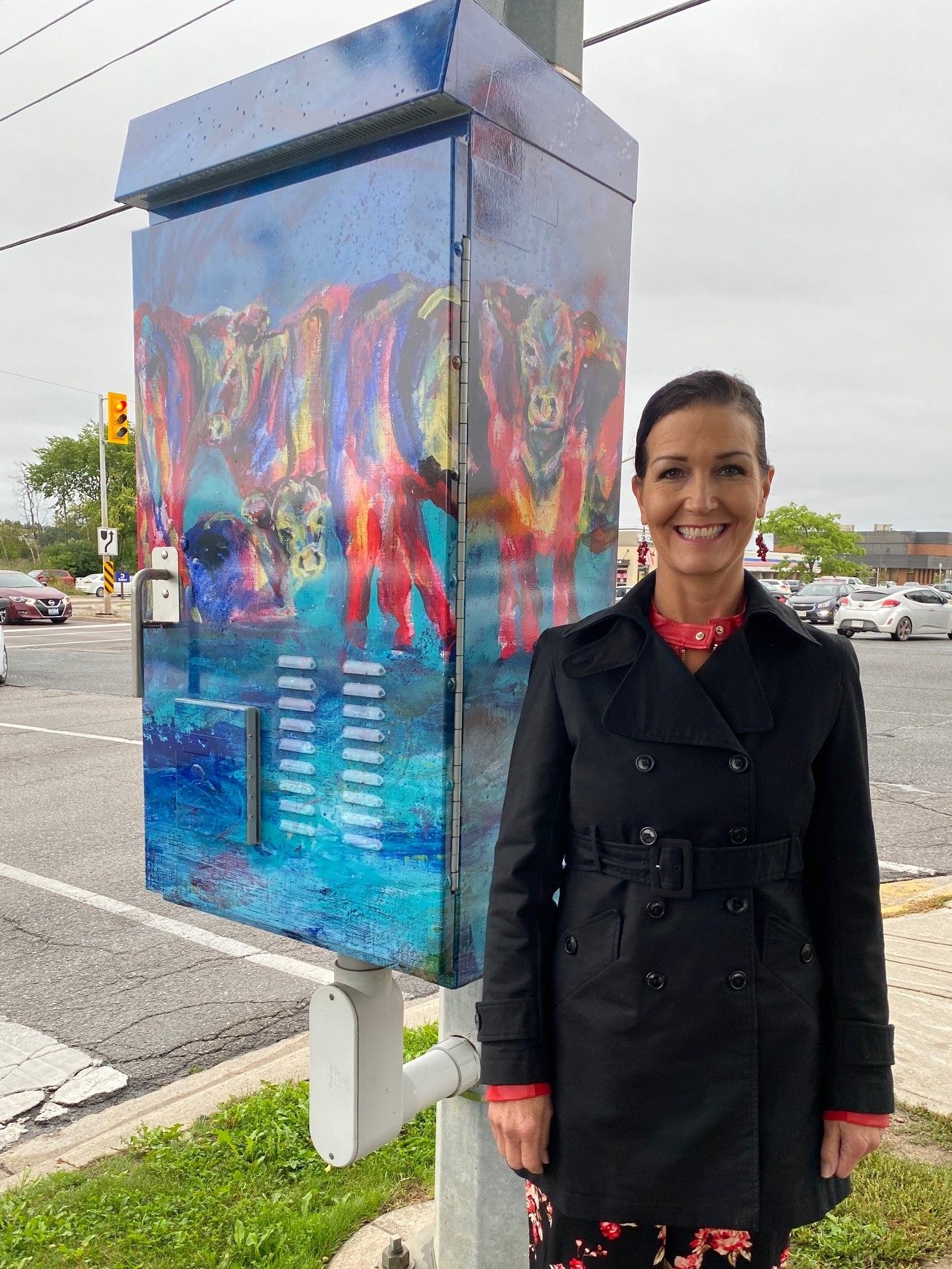 Utility Box Art in Orangeville