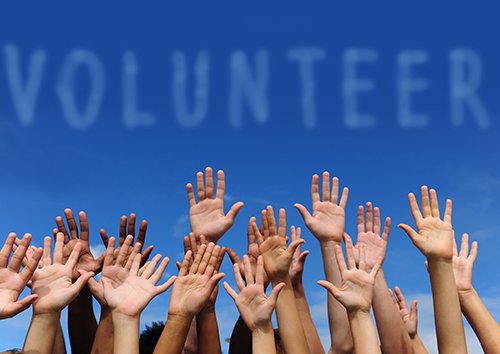 line of hands up to volunteer