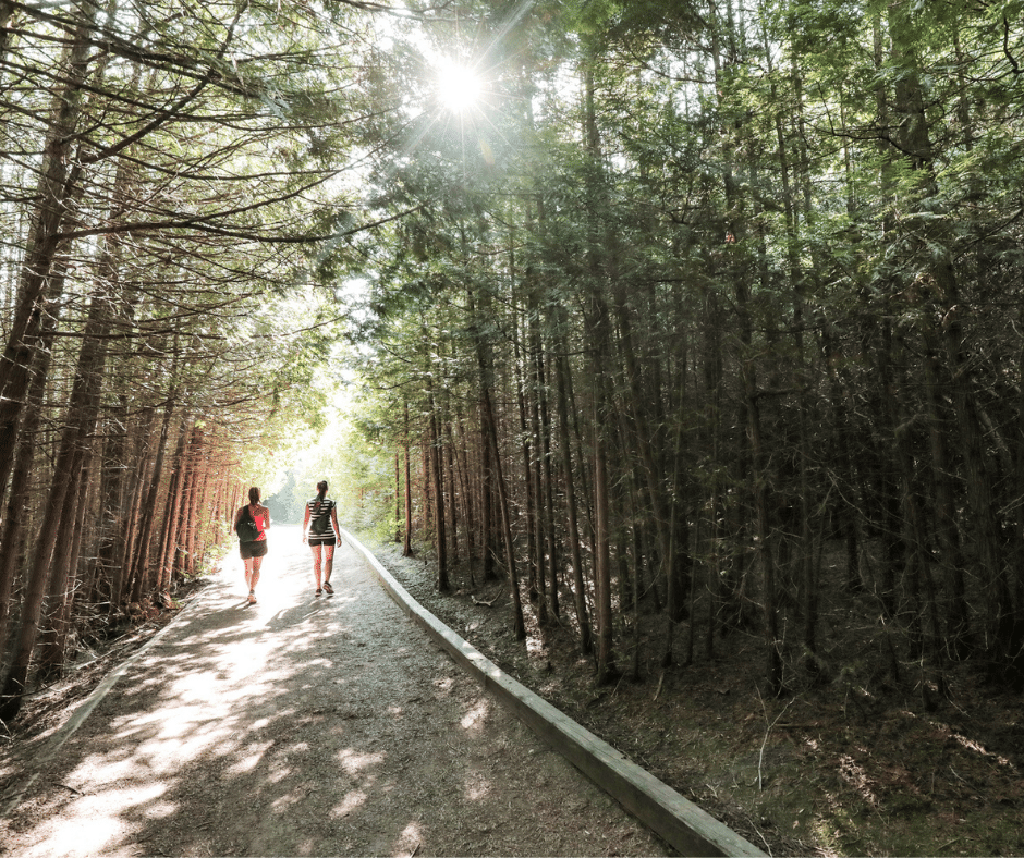 Two women walking on a forested trail
