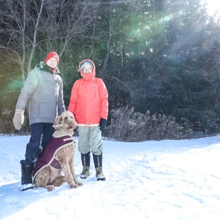 Couple with standing with a golden retriever dog in winter landscape