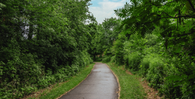 A paved trailway curves through a wooded area with lots of foliage and brush.
