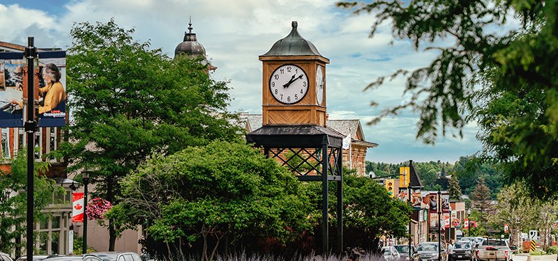 Orangeville votes logo