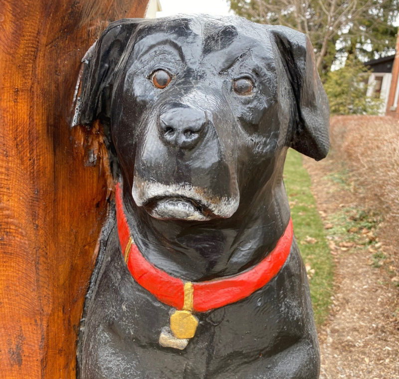 Tree sculpture of a dog