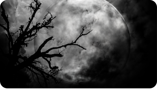 A large full moon through the silhouette of tree branches