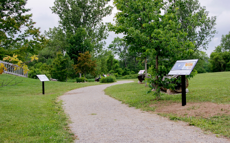 A pathway leading through a forest with signs on stands along the path