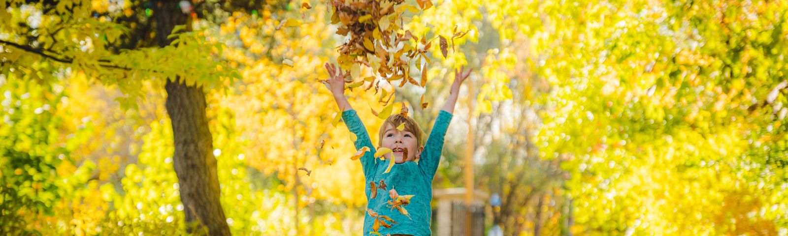 Child throwing leaves into the air