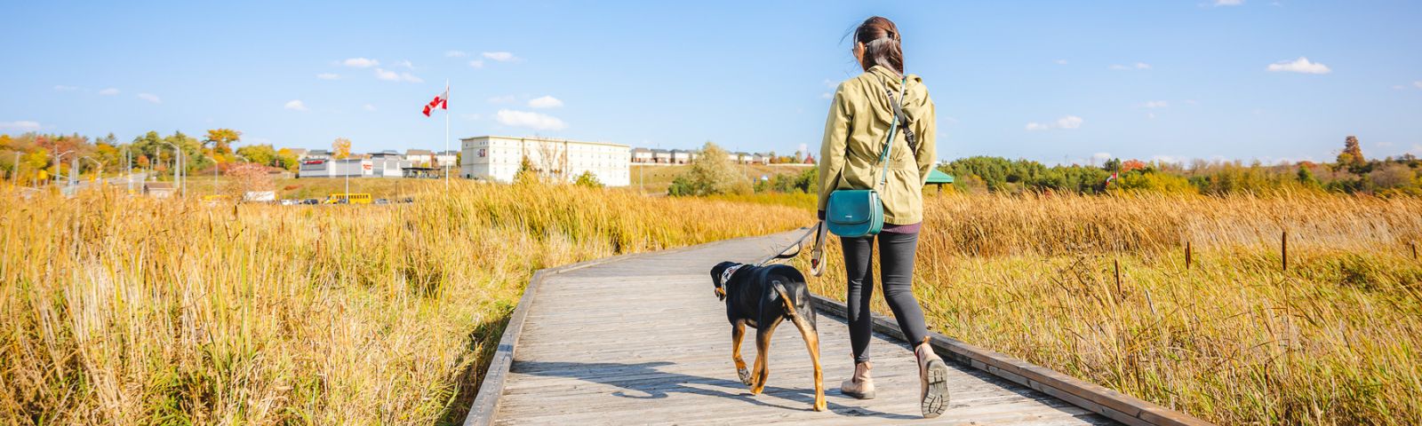 A woman walks her dog through a trail in a field