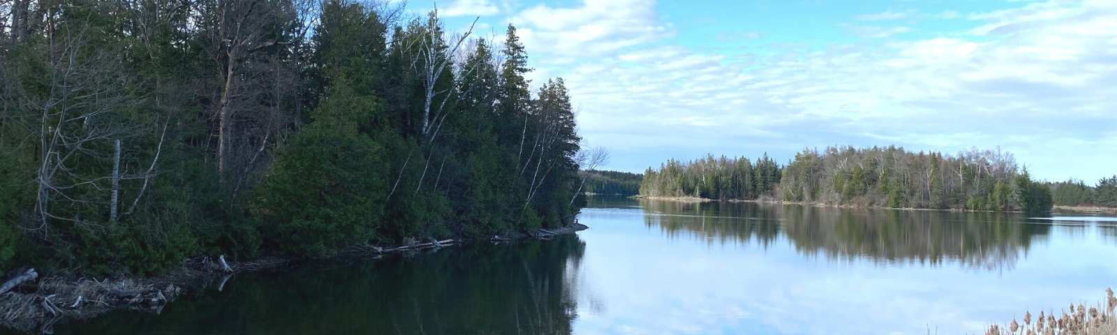 A treed landscape with a blue lake.