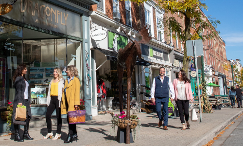 Group of people shopping on main street