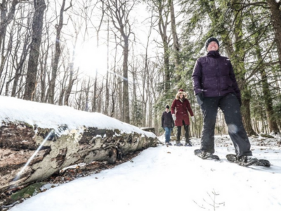Two people snow shoe in the woods