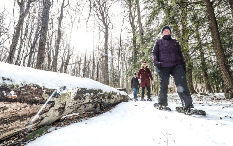 Three woman snowshoeing in the forest