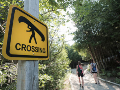 Canoe crossing sign with hikers in background